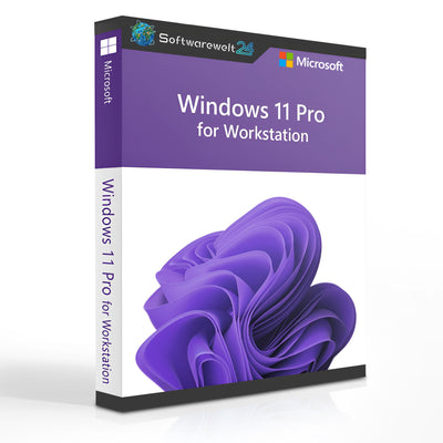 Windows 11 Pro for Workstation N