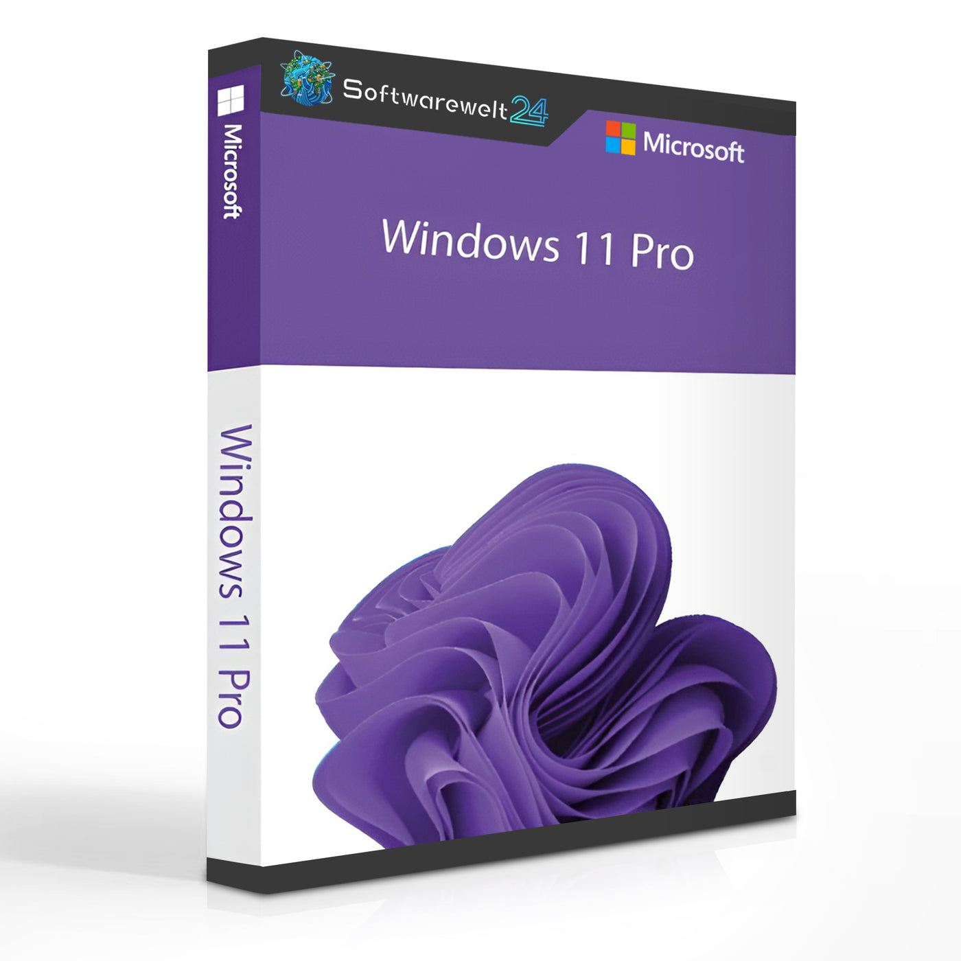 Windows 11 Pro Sofort-Download | DE