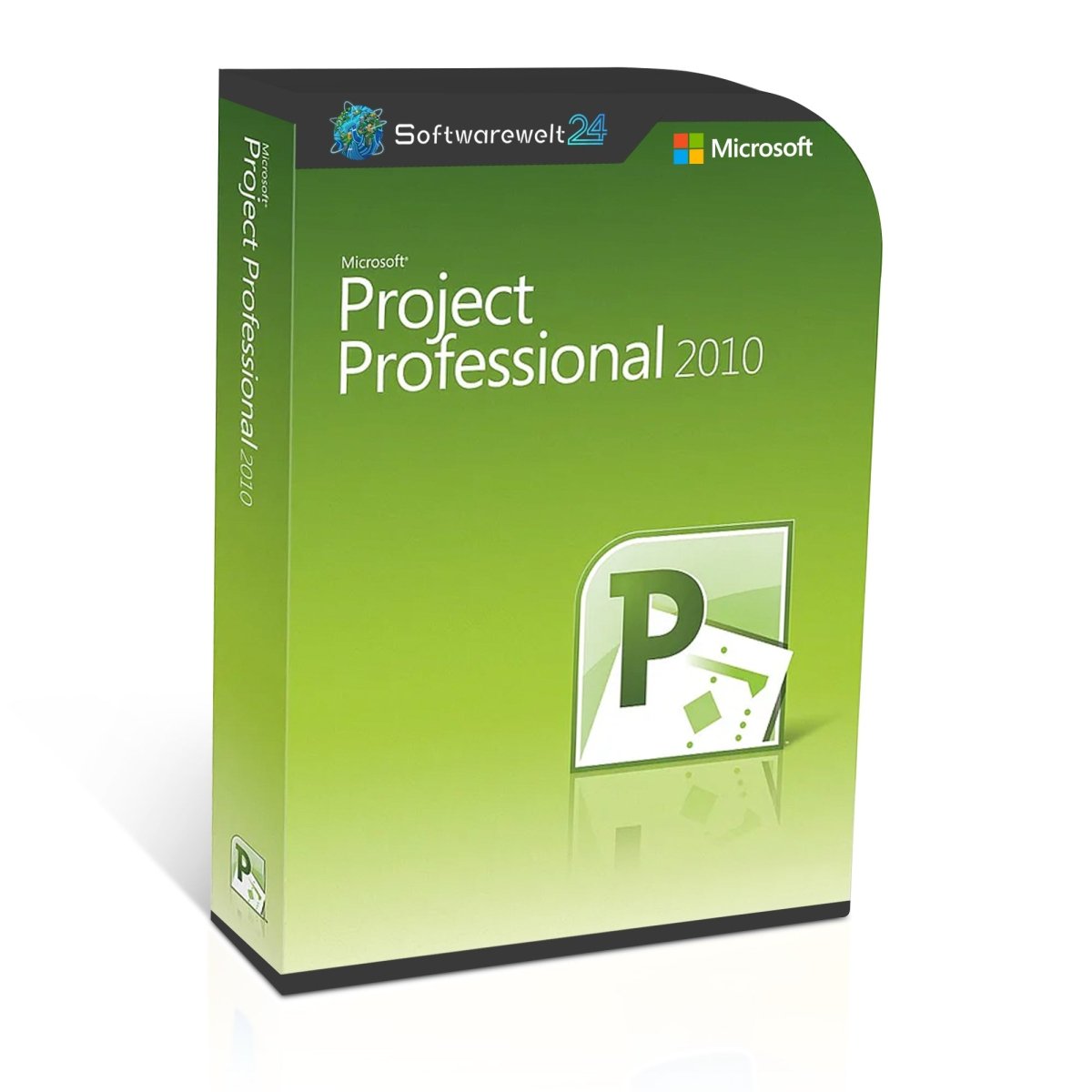 Microsoft Project Professional 2010 software box with logo and design, featuring project management tools and features.