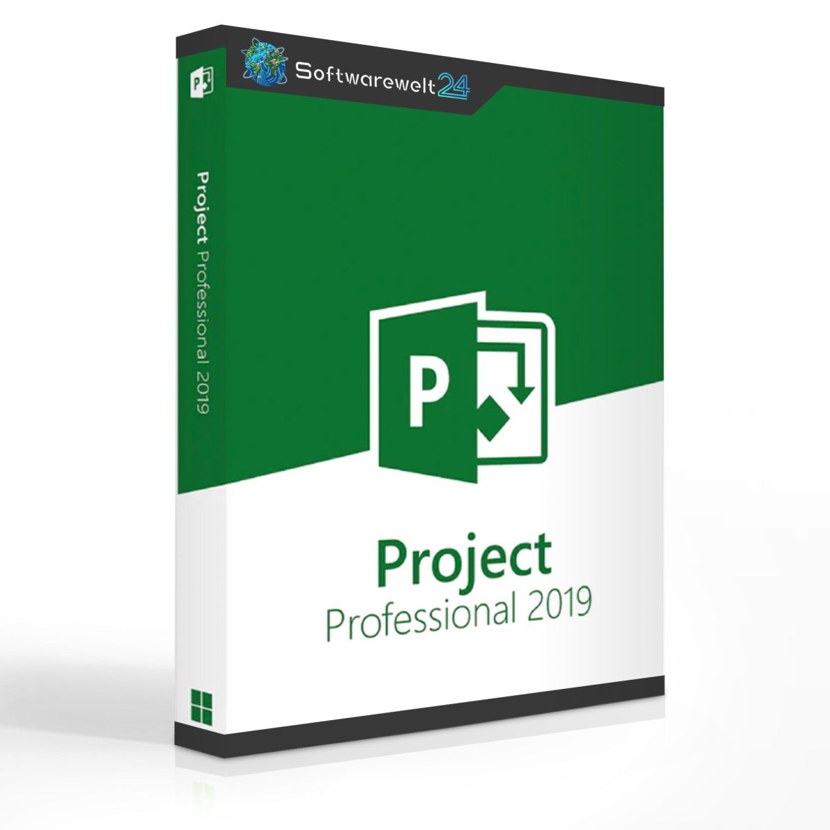 Microsoft Project Professional 2019 software box featuring a modern design and logo on a white background.