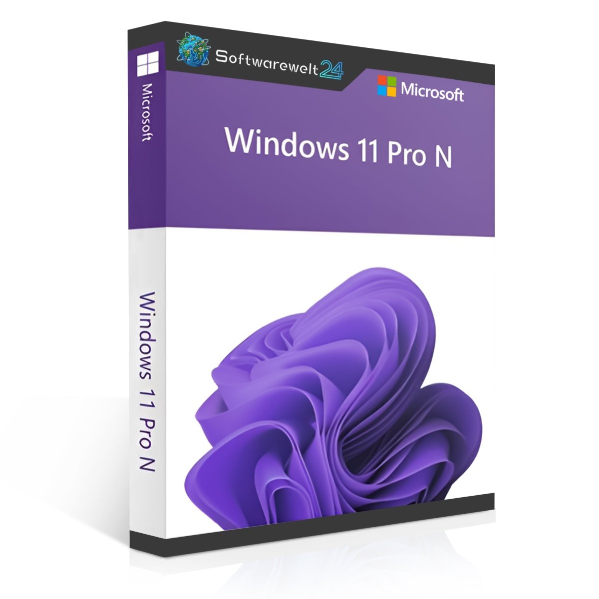 Windows 11 Pro N operating system box featuring Microsoft branding and modern design elements.