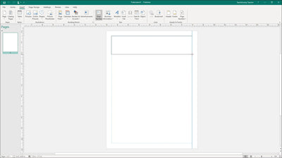 Microsoft Office 2021 Pro­fes­sio­nal